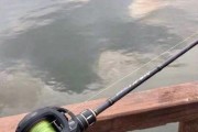 水库钓鱼路亚竿的钩选择指南（选择合适的钩种类提高水库路亚钓鱼效果）