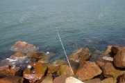 揭露海岸路亚钓鱼违法行为的危害（保护海岸生态，共同打击非法钓鱼）