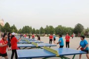 儿童乒乓球的发展与影响（培养孩子们的协调性和团队精神）