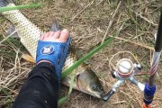 探讨鱼塘不适合以路亚钓鱼为主要方式的原因（解析路亚钓鱼在鱼塘中的限制与挑战）