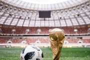 历史上最恐怖的世界杯（曼彻斯特的噩梦——1958年世界杯）
