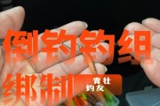 河钓路亚鱼的技巧与方法（探索在河里钓鱼的效果最佳的路亚技巧，提升你的垂钓水平）