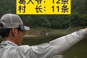 江里钓鱼（探讨在江里钓鱼时，选择使用路亚还是手竿的优缺点及技巧）