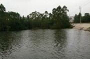 水口路亚钓鱼钓点探秘（深入水口路亚钓点，解锁丰富渔获）