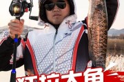 路亚钓鱼新手教学全过程（掌握关键技巧，快速成为路亚高手）