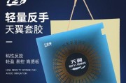 乒乓球反手等级划分与技术要求（探究乒乓球反手技术等级的划分标准及训练要点）