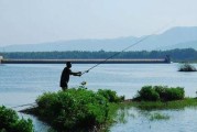 阴天钓鱼的乐趣——探索水库路亚的无限可能（以水库路亚为例，解读阴天钓鱼的技巧与经验）