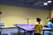 玩乒乓球的技巧和注意事项（成为乒乓球高手的秘诀与训练建议）