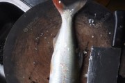 以打路亚钓鱼为主的技巧和策略（不放鱼食的钓鱼技巧和注意事项）