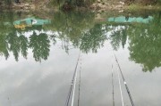 探寻诸市大桥下的钓鱼宝地（挖掘大桥下路亚钓点的钓鱼技巧与心得）