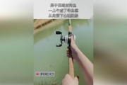 探索路亚钓鱼的奇妙之旅（揭秘金盆在路亚钓鱼中的重要作用）