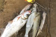 悠闲时光下，女友陪你钓鱼路亚（亲情休闲时光，共赏钓鱼路亚的乐趣）