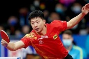 中国马龙（无敌马龙）