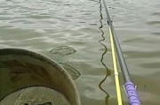 关山水库钓鱼探秘（在关山水库钓鱼中运用路亚技巧，成功的关键）
