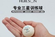 探秘ABS乒乓球的独特魅力（体育用品行业中的创新杰作）