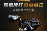 水滴轮路亚竿钓鱼攻略（全面解析水滴轮路亚竿的使用技巧及注意事项）