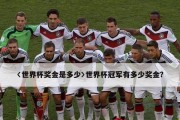 世界杯总决赛冠军奖金揭秘（历届冠军奖金悬殊与背后的故事）