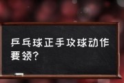 乒乓球教学动作技巧——打造出色球技（提高乒乓球技术的教学方法和实用技巧）