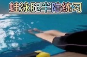 探索多种游泳技巧，提升水性能力（除蛙泳外，你还可以尝试这些游泳技巧！）