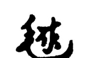 乒乓球（乒乓球的历史、规则和技术解析）