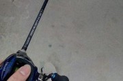 路亚钓鱼的重要性与线组合选择（为什么需要定期更换路亚钓鱼线以及如何选择适合的线材）