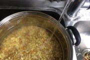 清水江钓鱼小白条的乐趣与技巧（以路亚竿为工具，探索清水江的丰富鱼源）