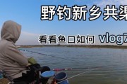 新手钓鱼学路亚还是手竿？（探讨新手选择钓鱼装备的利弊，为您提供选择建议。）
