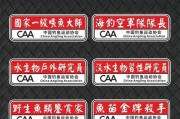 学生在学校里路亚钓鱼的乐趣与收获（探索自然的魅力，培养学生的耐心和观察力）