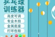 以乒乓球成人好学吗？（探索成人学习乒乓球的优势和挑战）