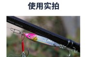 湖里路亚钓鱼的软饵选择（如何根据不同情况选择适合的软饵钓鱼）