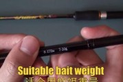 如何选择适合钓鱼的路亚竿？（路亚钓鱼的竿型选择技巧）