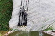 选择适合湖泊路亚钓鱼的钓竿（提高钓鱼效果的关键因素及推荐钓竿）
