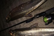 探索大水库中路亚钓鱼的最佳技巧（掌握关键技巧，成为大水库中的路亚高手）