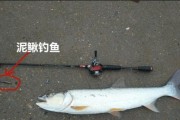 大泥鳅钓鱼的挂法路亚技巧（掌握挂法路亚，让大泥鳅轻松上钩）
