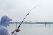 河道钓鱼技巧（掌握关键技巧，让你在河道钓鱼中事半功倍）