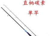 塑料路亚竿钓鱼的优势与应用（环保新选择，革新钓鱼方式）