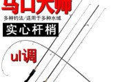 选择合适的路亚杆，提升钓鱼效果（如何选购适合钓鱼的路亚杆，提升钓鱼技巧）