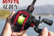 路亚竿与海竿钓鱼技巧详解（选择正确的钓具，享受无忧的钓鱼乐趣）