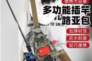 如何选择适合路亚纺车轮钓鱼的鱼饵？（掌握关键技巧，提高钓鱼成功率）