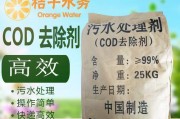 游泳馆聚合氯化铝使用技巧（提升水质清洁度的关键步骤及注意事项）