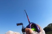 路亚钓鱼技巧详解（掌握正确的路亚钓鱼技巧，提升钓鱼效果）