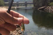 早上能否打路亚钓鱼？（探讨早晨适合进行路亚钓鱼的理由和技巧）