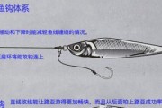用路亚竿钓鱼的绑线组方法（掌握正确的绑线组，提升路亚钓鱼技巧）