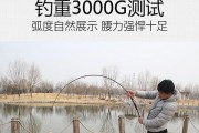 自制路亚钓鱼竿的完全指南（轻松DIY，打造属于你的专属钓鱼工具）