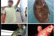 路亚饵与海竿钓鱼的差异（探寻不同钓法的奥秘，让你成为钓鱼高手）