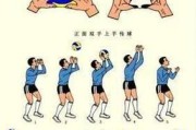 排球双人对垫动作要领（打造完美默契，共同征战排球赛场）