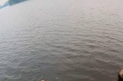 海上路亚钓鱼的乐趣与技巧（探索海洋的奥秘，体验路亚钓鱼的刺激之旅）